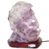 8.55kg Natural Amethyst Crystal Lamp - Timber Base DS279 3