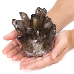 Smoky Quartz Crystal Cluster DS1433 | Himalayan Salt Factory