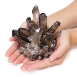 Smoky Quartz Crystal Cluster DS1436 | Himalayan Salt Factory