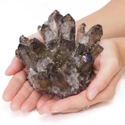 Smoky Quartz Crystal Cluster DS1437 | Himalayan Salt Factory