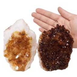 Citrine Crystal Geode Specimen Set 2 Pieces DN896 | Himalayan Salt Factory