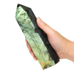 Labradorite Terminated Point DS1485 | Himalayan Salt Factory