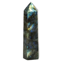 Labradorite Terminated Point DS1486 | Himalayan Salt Factory