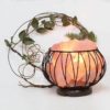 April Deal 1 April Deal | Himalayan Salt Factory