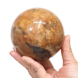 Natural Fossil Wood Polished Sphere DS1533 | Himalayan Salt Factory