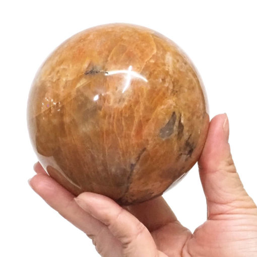 Natural Fossil Wood Polished Sphere DS1533 | Himalayan Salt Factory