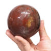 Natural Fossil Wood Polished Sphere DS1534 | Himalayan Salt Factory