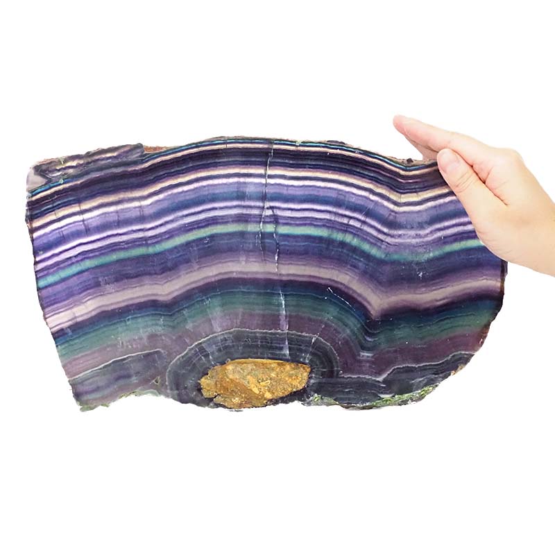 2.22kg Natural Sliced Rainbow Fluorite Crystal Lamp DS1562 5 Natural Sliced Rainbow Fluorite Slab Plate DS1562 | Himalayan Salt Factory