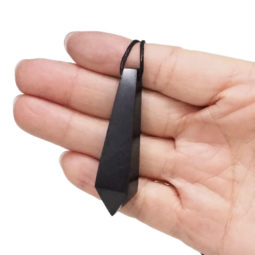 Shungite Polished Pendulum Point Necklace | Himalayan Salt Factory