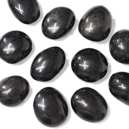 Black Tourmaline Polished Palm Stone | Himalayan Salt Factory