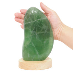 1.22kg Green Fluorite Polished Self Stand with LED Large Base DS1626 10 Green Fluorite Polished Self Stand with LED Large Base DS1626 | Himalayan Salt Factory