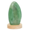 0.99kg Green Fluorite Polished Self Stand with LED Large Base DS1631 1 Green Fluorite Polished Self Stand with LED Large Base DS1631 | Himalayan Salt Factory