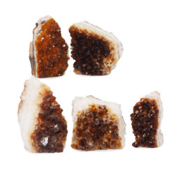 1.74kg Citrine Mini Cluster Specimen Set 5 Pieces J1761 | Himalayan Salt Factory