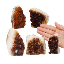 1.74kg Citrine Mini Cluster Specimen Set 5 Pieces J1761 | Himalayan Salt Factory