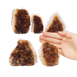 1.77kg Citrine Mini Cluster Specimen Set 5 Pieces J1763 | Himalayan Salt Factory