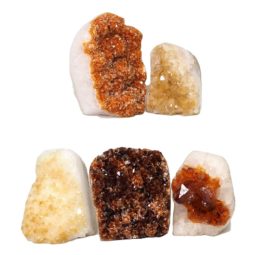 Citrine Mini Cluster Specimen Set N1400 | Himalayan Salt Factory