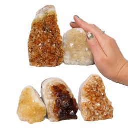 Citrine Mini Cluster Specimen Set N1404 | Himalayan Salt Factory