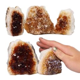 Citrine Mini Cluster Specimen Set N1408 | Himalayan Salt Factory
