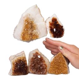 Citrine Mini Cluster Specimen Set N1410 | Himalayan Salt Factory