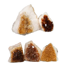 Citrine Mini Cluster Specimen Set N1410 | Himalayan Salt Factory