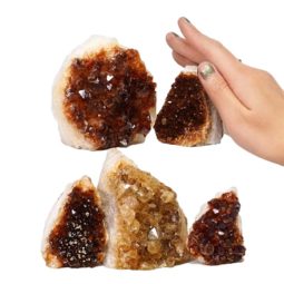Citrine Mini Cluster Specimen Set N1423 | Himalayan Salt Factory