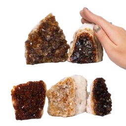 2.07kg Citrine Mini Cluster Specimen Set 5 Pieces N1427 5 Citrine Mini Cluster Specimen Set N1427 | Himalayan Salt Factory