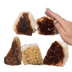 Citrine Mini Cluster Specimen Set N1435 | Himalayan Salt Factory