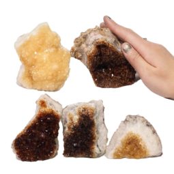 Citrine Mini Cluster Specimen Set N1437 | Himalayan Salt Factory