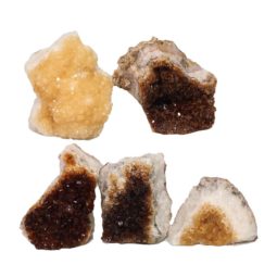 Citrine Mini Cluster Specimen Set N1437 | Himalayan Salt Factory
