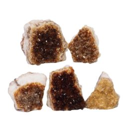 Citrine Mini Cluster Specimen Set N1439 | Himalayan Salt Factory