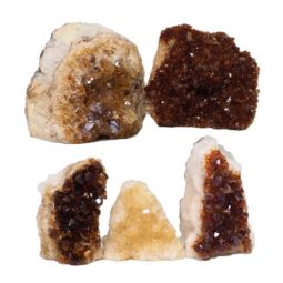 Citrine Mini Cluster Specimen Set N1441 | Himalayan Salt Factory