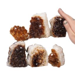 Citrine Mini Cluster Specimen Set N1448 | Himalayan Salt Factory