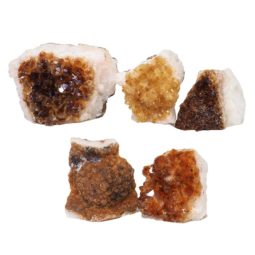 Citrine Mini Cluster Specimen Set N1463 | Himalayan Salt Factory