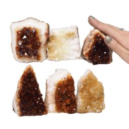 1.72kg Citrine Mini Cluster Specimen Set 6 Pieces N1465 5 Citrine Mini Cluster Specimen Set N1465 | Himalayan Salt Factory