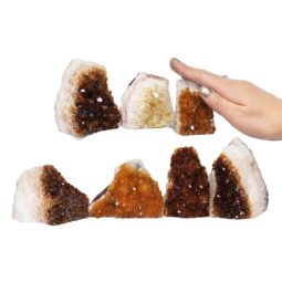 1.73kg Citrine Mini Cluster Specimen Set 7 Pieces N1466 5 Citrine Mini Cluster Specimen Set N1466 | Himalayan Salt Factory