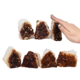 Citrine Mini Cluster Specimen Set N1468 | Himalayan Salt Factory