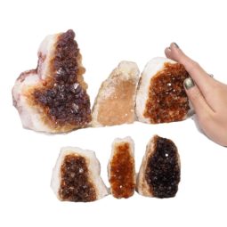 Citrine Mini Cluster Specimen Set N1504 | Himalayan Salt Factory