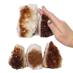 Citrine Mini Cluster Specimen Set N1507 | Himalayan Salt Factory