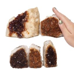 Citrine Mini Cluster Specimen Set N1508 | Himalayan Salt Factory