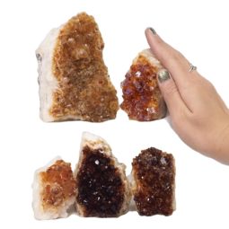 Citrine Mini Cluster Specimen Set N1514 | Himalayan Salt Factory