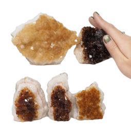 Citrine Mini Cluster Specimen Set N1518 | Himalayan Salt Factory