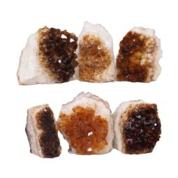 Citrine Mini Cluster Specimen Set N1533 | Himalayan Salt Factory