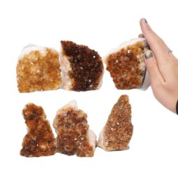 2.03kg Citrine Mini Cluster Specimen Set 6 Pieces N1535 5 Citrine Mini Cluster Specimen Set N1535 | Himalayan Salt Factory