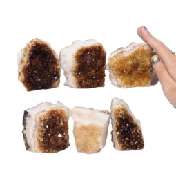1.80kg Citrine Mini Cluster Specimen Set 6 Pieces N1538 5 Citrine Mini Cluster Specimen Set N1538 | Himalayan Salt Factory