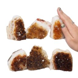1.99kg Citrine Mini Cluster Specimen Set 6 Pieces N1541 5 Citrine Mini Cluster Specimen Set N1541 | Himalayan Salt Factory
