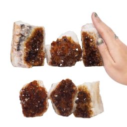 Citrine Mini Cluster Specimen Set N1545 | Himalayan Salt Factory
