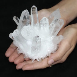 Clear Quartz Crystal Cluster DS1658 | Himalayan Salt Factory