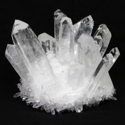 Clear Quartz Crystal Cluster DS1658 | Himalayan Salt Factory