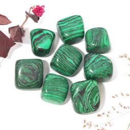 Malachite Tumbled Stone - 8 Pieces | Himalayan Salt Factory