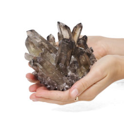 0.67kg Smoky Quartz Crystal Cluster DK262 | Himalayan Salt Factory
